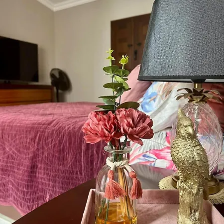 Solo بيت للعطل *